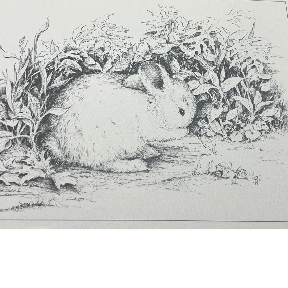 Vtg‎ stationery set pencil drawings Bunnies Nature by artist Jolene Brown 1976